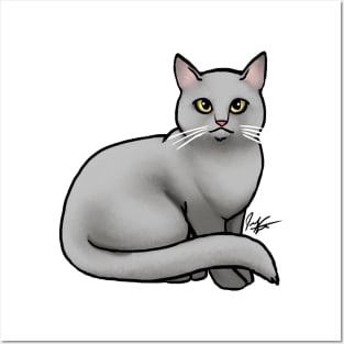 Cat - British Shorthair - Gray Posters and Art